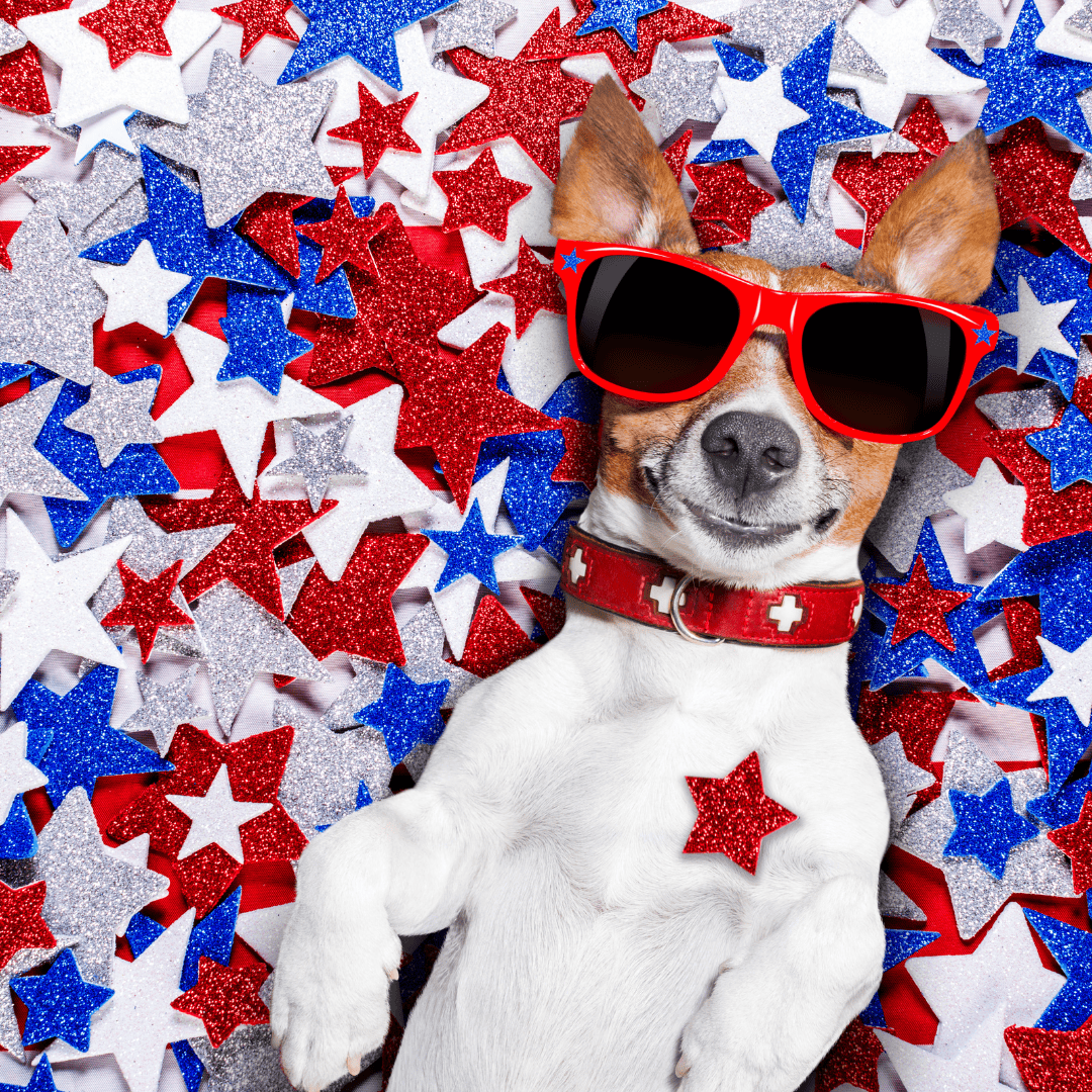 Memorial Day For Dogs Paws & Claws Pet Sitting and Dog Walking