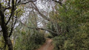Foothills Open Space Preserve