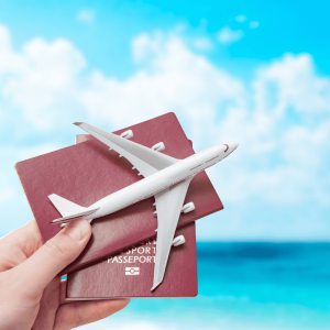 Pet Sitting for Business Trips or Travel