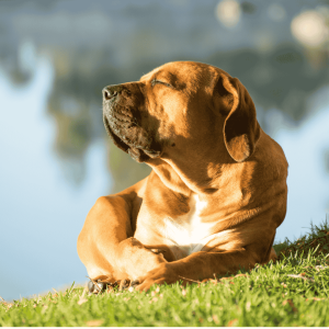 Enjoy The Sunshine Safely!