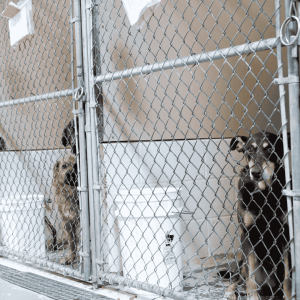 Avoiding the Risks of Boarding