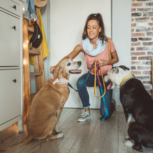 Why Choose Paws & Claws Pet Sitting & Dog Walking?