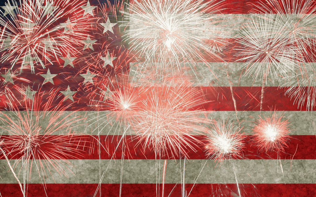 How To Prepare Your Pet For Fireworks And July 4th Celebrations