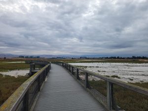 Baylands Park