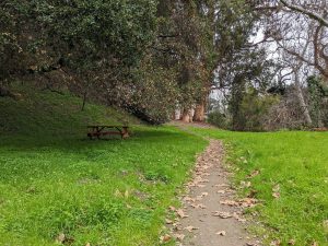 Stevens Creek Trail