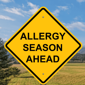 What Causes Seasonal Allergies in Pets?