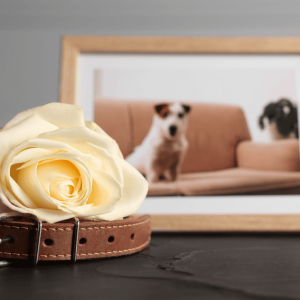 Create a Memorial Space