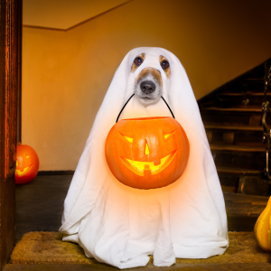 Friendly Ghost