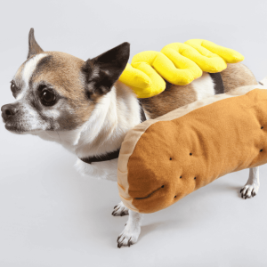 Food-Themed Costumes