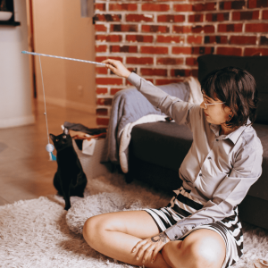 Hire The Pet Professionals To Keep Your Cats Entertained and Happy