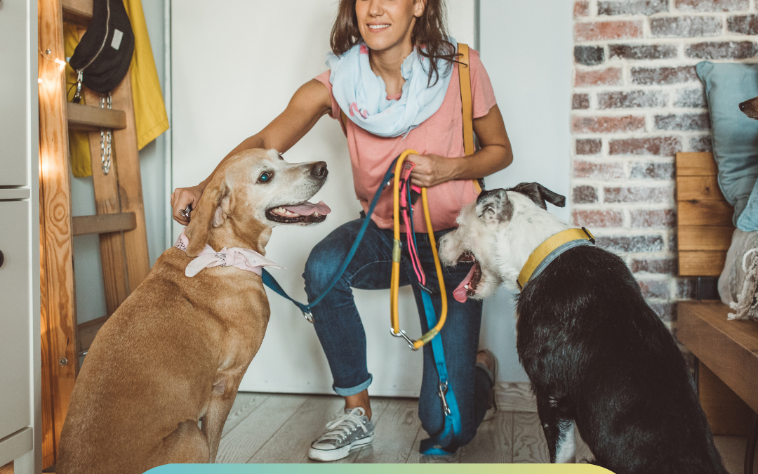 Professional Pet Sitters Week