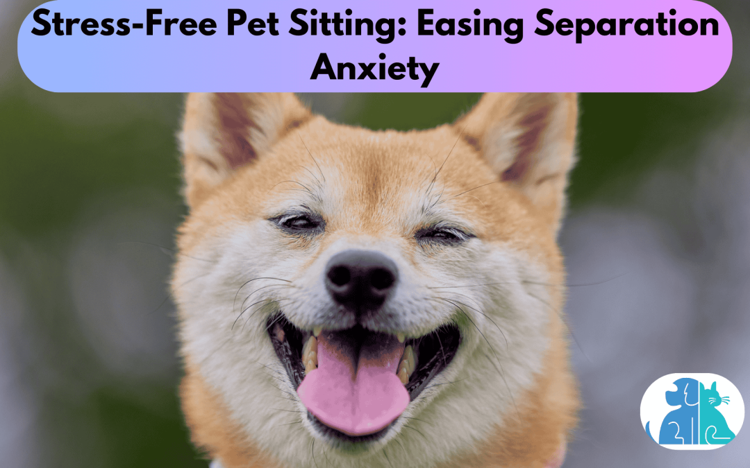 Stress-Free Pet Sitting: Easing Separation Anxiety