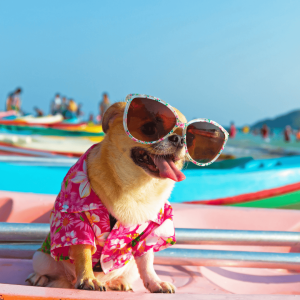 High Demand During Summer Months