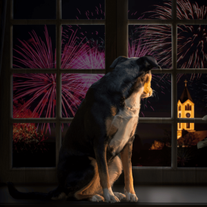 Be Extra Careful During Fireworks and Events