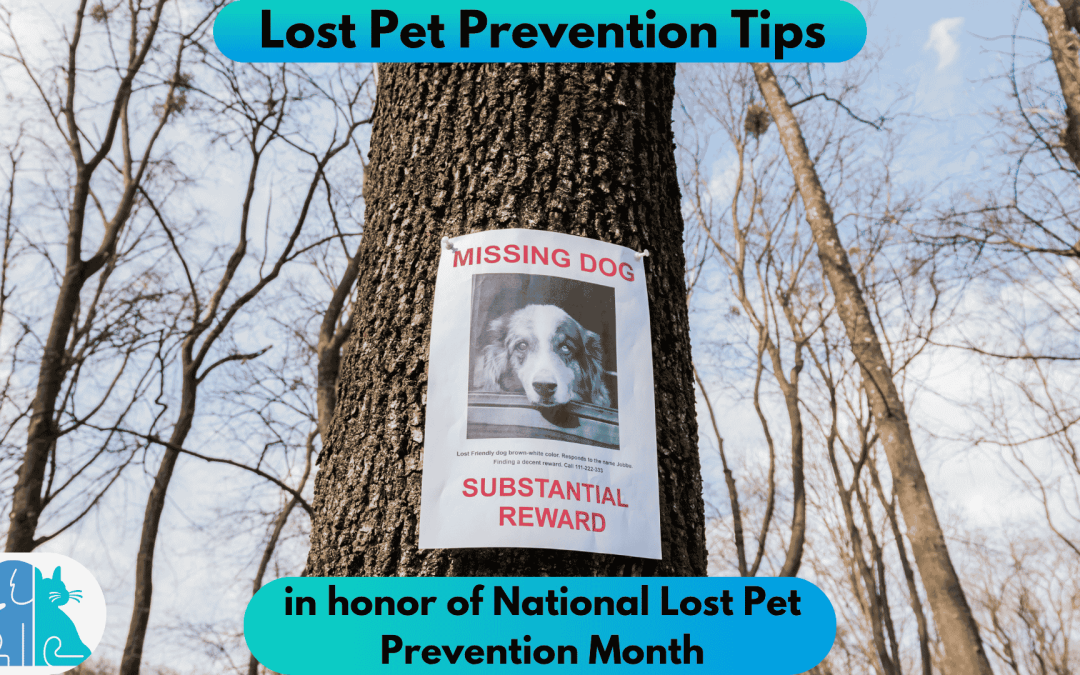 Lost Pet Prevention Tips