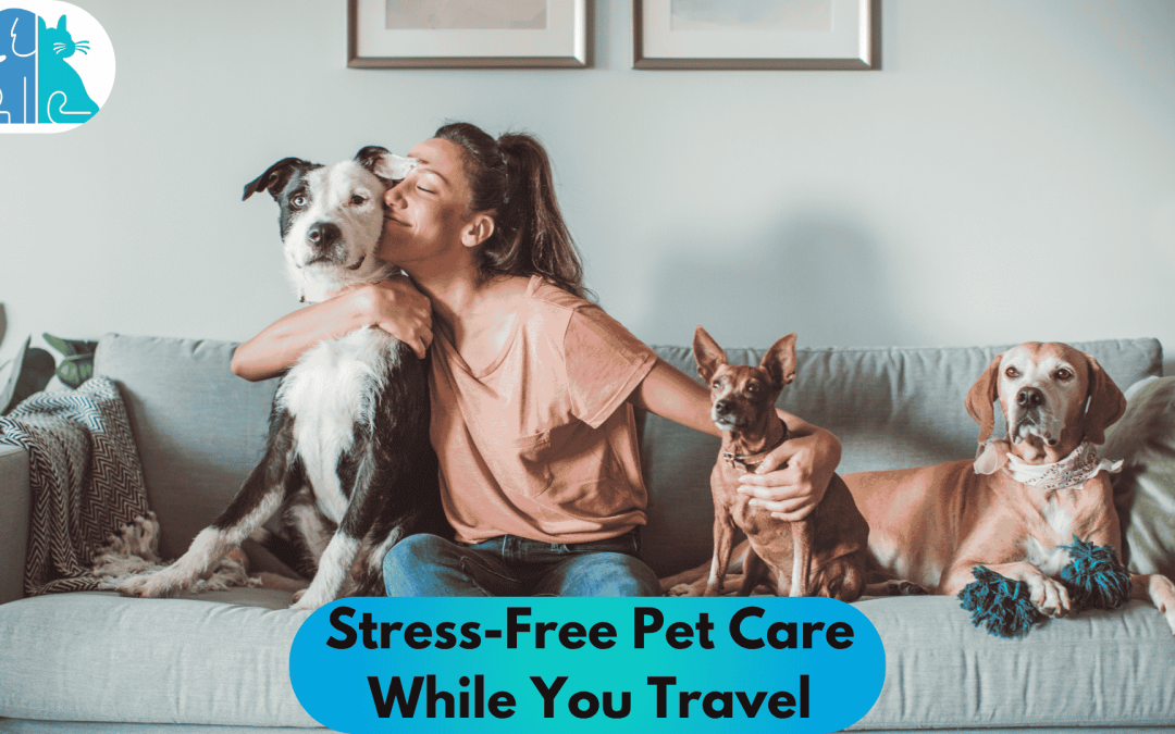 Stress-Free Pet Care While You Travel